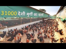 गांव में युवा ने बना डाली 31000 देशी मुर्गी की फैक्ट्री | Desi Poultry Farm Business Plan