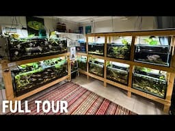 Keeping Fish Simples Private Home Fish Room - The Dream Setup!