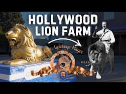 The Forgotten Lion Farm of Hollywood