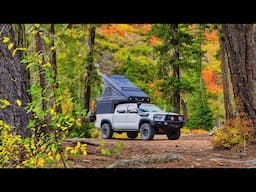 The Fall Colors Here Were Unreal! Solo Dispersed Camping in Washington.