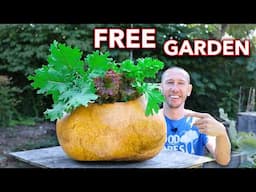 I Spent a Year Growing a Gourd, Then Grew a Garden in it!