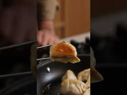 Les meilleurs gyoza du monde ?! 🥟🔥🔥