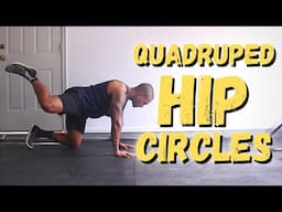 Movement Demo | Quadruped Hip Circles