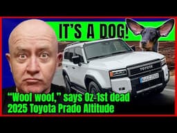 How a little water killed a 2025 Toyota Prado Altitude | Auto Expert John Cadogan