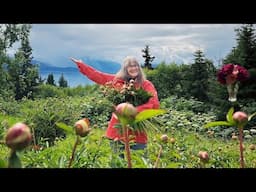 Alaska Summer Harvest || Peony Flowers with Charlotte Kilcher