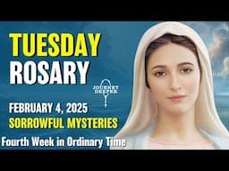 Tuesday Rosary 💚 Sorrowful Mysteries of the Rosary 💚 February 4, 2025 VIRTUAL ROSARY