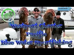 Westport Washington, Pacific Bluewater Sportfishing, Halibut, Lingcod and Salmon!