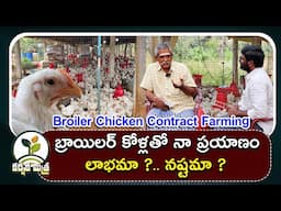 బ్రాయిలర్ కోళ్ల పెంపకంలో ఆదర్శ రైతు || Broiler Chicken Contract Farming || Karshaka Mitra