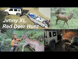 State Forest Summer Red Deer | Jimny XL - New Rig Rundown