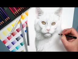 How To Draw White Fur With Colored Pencils