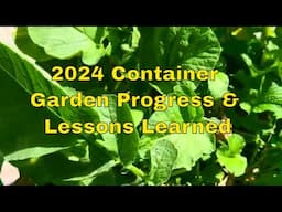 Container Garden Progress and Lessons Learned