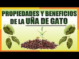 [Uña de Gato] Propiedades y Beneficios