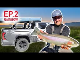 CALIFORNIA Trophy Trout FISHING! (Truck Camping Roadtrip)