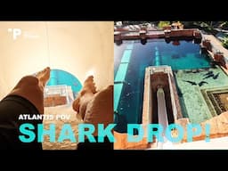 Leap of Faith Shark Drop Slide Atlantis POV!