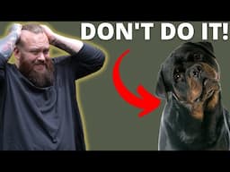 WHY YOU SHOULDN'T GET A ROTTWEILER