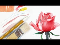 EnjoyingArt Brushes Care Tips