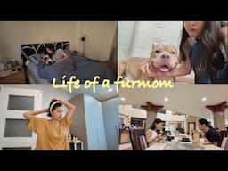 life of a furmom ✨ ⎮ Mich Tee