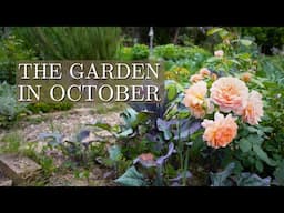 Full October Garden Tour of Our Permaculture Gardens & Flower Farm 🌼🌱 Future Channel Plans