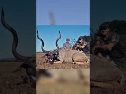 Cliff Walker / Collect Africa Reel 01 #wildlife #hunting #huntingvideo