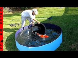 BUILDING the CHEAPEST BACKYARD POND in 3 EASY STEPS! **Kept FISH ALIVE!**