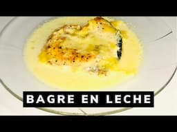 Bagre a la crema Bagre en leche