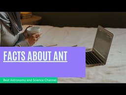 Facts About Ants