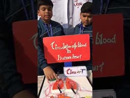 Circulation of blood in human heart | Science project | Science model | science project #shorts