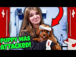 Our Puppy Was ATTACKED!