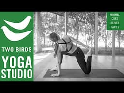 35 Minute Vinyasa Yoga Flow - Minimal Cues Series - Part 5