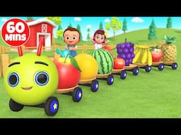 Baby Learning Colors, Shapes, Numbers, Alphabet, Fruits, Veggies, Dinosaurs & Animals - 60 Min