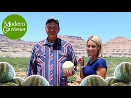 Tips for Growing Melons