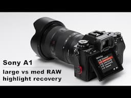 Sony A1 highlight recovery comparison between large and medium RAW options.