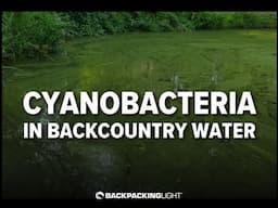 Cyanobacteria and Cyanotoxins in Backcountry Water Sources