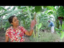 Today's special village food.Today I am making a meal that will surprise you/ village kitchen recipe