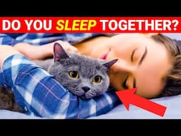 Sleep With Your Cat Every Night, This Will Happen | YOU MUST KNOW THIS!