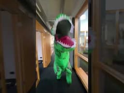 Watch out, there’s a DINOSAUR in the office! 😱 #halloween #spooky