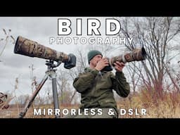 Bird Photography with Mirrorless & DSLR | Bird Migration Canada Canon R3 1DX MK III zoom & Telephoto