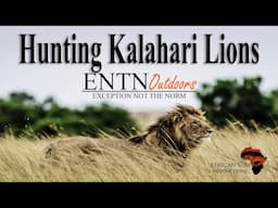 Hunting the loud and dangerous roar of Africa - The Kalahari Lion with ENTN Outdoors