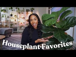 Houseplants I’ve Been Loving Lately | Current Favorites 🌱🫶🏽