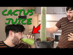 Drinking Cactus Juice