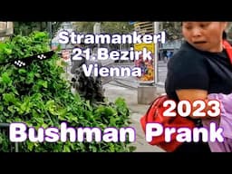 Bushman Prank - Vienna (Stramankerl 2023) - Best Reaction Wien 21. Bezirk - Floridsdorf