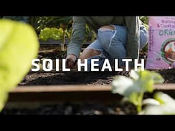 8 Methods to Check the Health of Your Soil for Organic Gardening | Soil Testing Tips