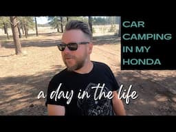 Camping in a Honda CRV. Checking out NEW Camps. Olive is INJURED? Wandering Jimmy.