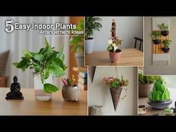 5 Indoor Plants Easy iDEAS That Enhance Your Air Quality and Mood | Growing Plants//GREEN PLANTS