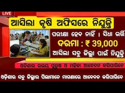 Odisha Agriculture Office Recruitment 2025 ! Salary 39,000 Per Month ! Odisha Govt Jobs 2025