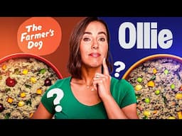 Ollie vs The Farmer’s Dog: Which Fresh Dog Food Is Best?