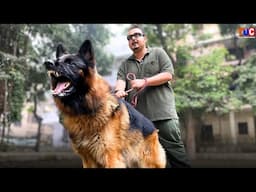 GERMAN SHEPHERD DOG | Dangerous or Friendly ? Full Details in Hindi