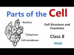 Parts of the Cell | Cytoplasm | Cell - Structure and Functions | Class 8 Science Chapter | Biology