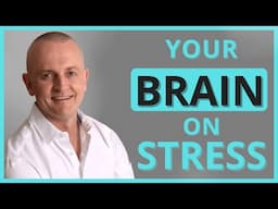 How Stress Affects Your Brain and Relationships