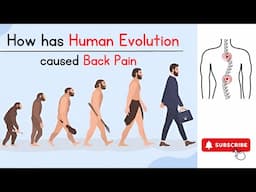 How has Human Evolution caused Back Pain | Dr. Ajay Kothari | Sancheti Hospital #pune #health